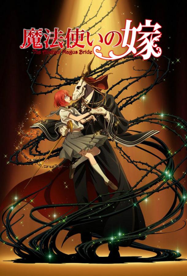 Невеста чародея Смотреть Мультфильмы