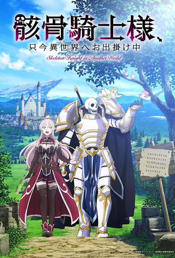 Рыцарь-скелет вступает в параллельный мир Смотреть Мультфильмы