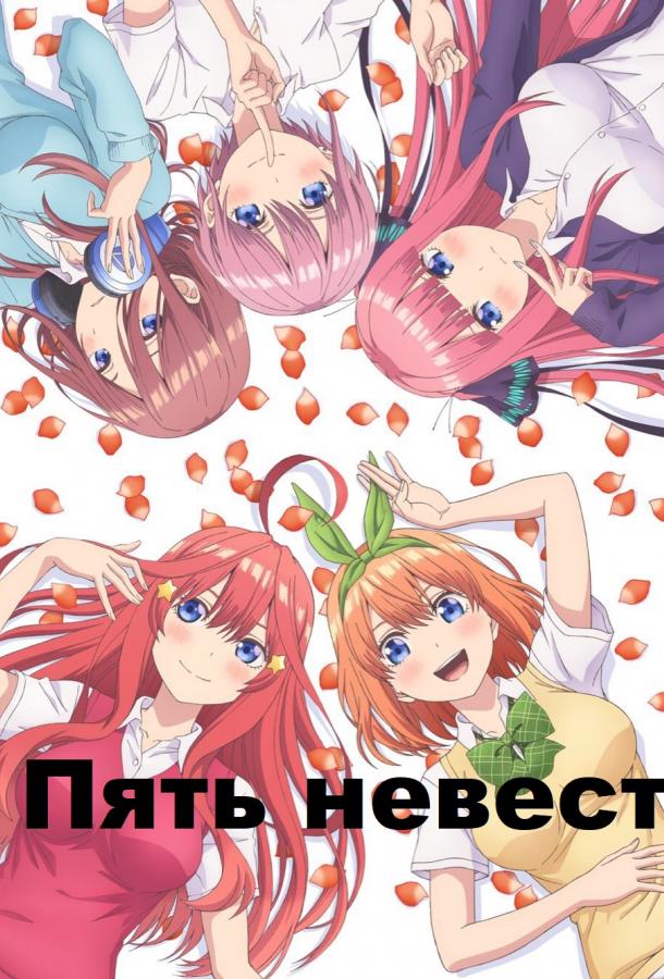 Пять невест Смотреть Мультфильмы